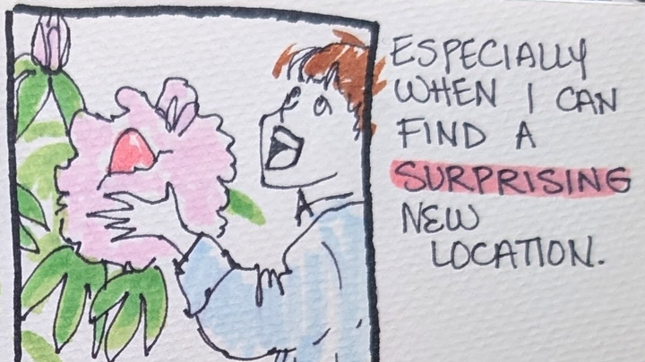 a comic about an egg hunt