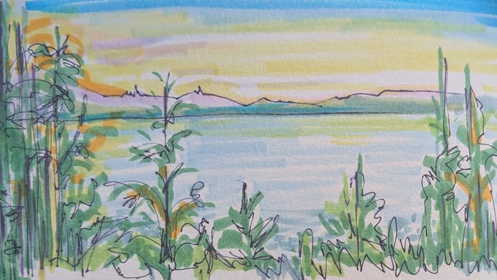 Sketches from Washington